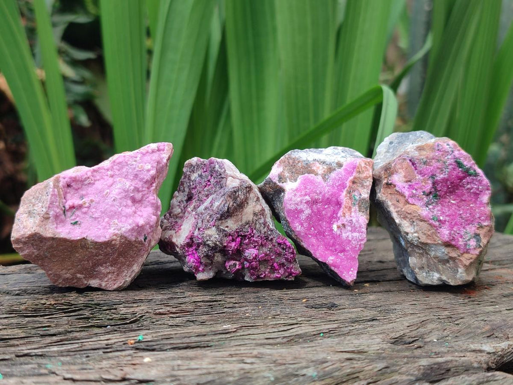 Natural Salrose Cobaltoan Dolomite Specimens x 16 From Kakanda, Congo