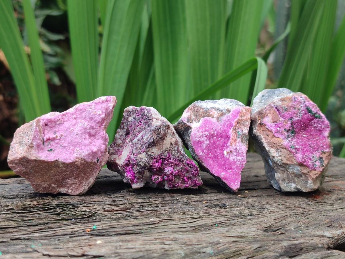 Natural Salrose Cobaltoan Dolomite Specimens x 16 From Kakanda, Congo