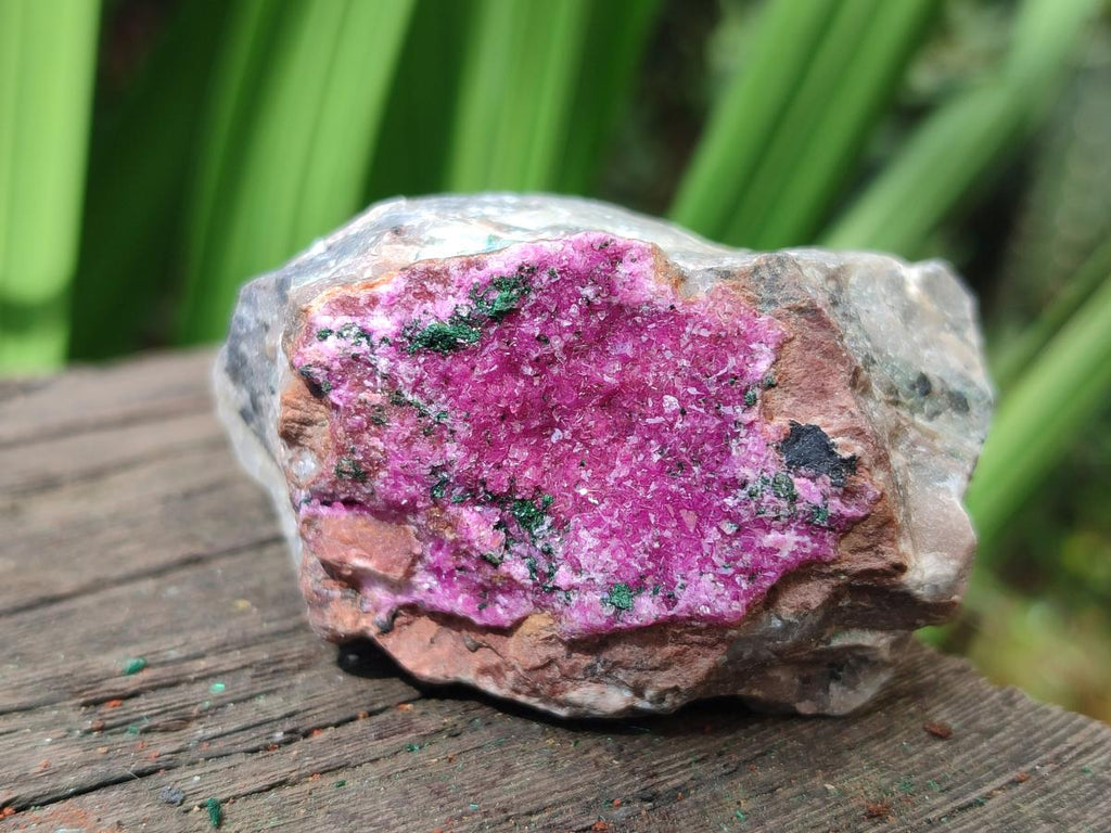 Natural Salrose Cobaltoan Dolomite Specimens x 16 From Kakanda, Congo