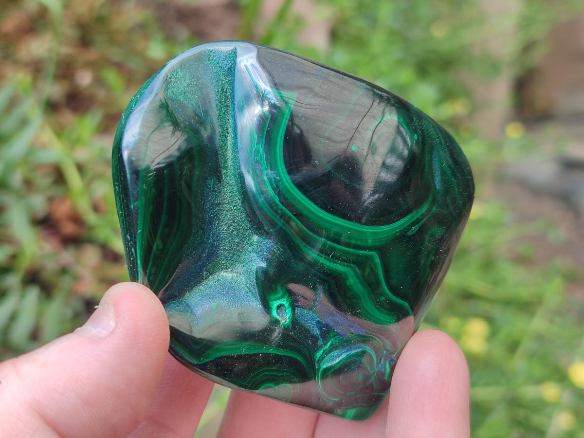 Polished Flower Banded Malachite Free Form x 6 From Congo
