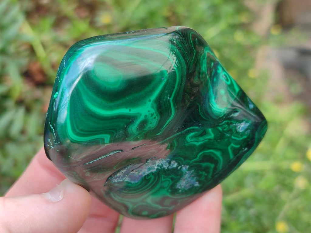 Polished Flower Banded Malachite Free Form x 6 From Congo