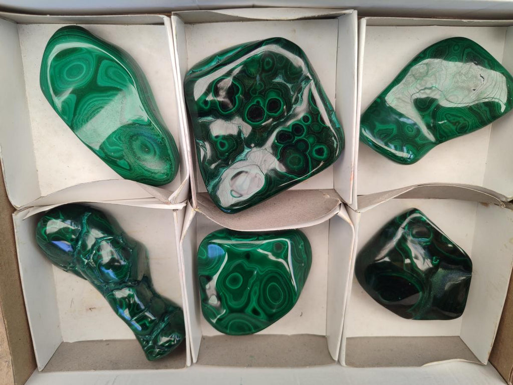 Polished Flower Banded Malachite Free Form x 6 From Congo