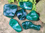 Polished Flower Banded Malachite Free Form x 6 From Congo