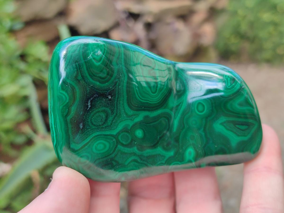 Polished Flower Banded Malachite Free Form x 6 From Congo