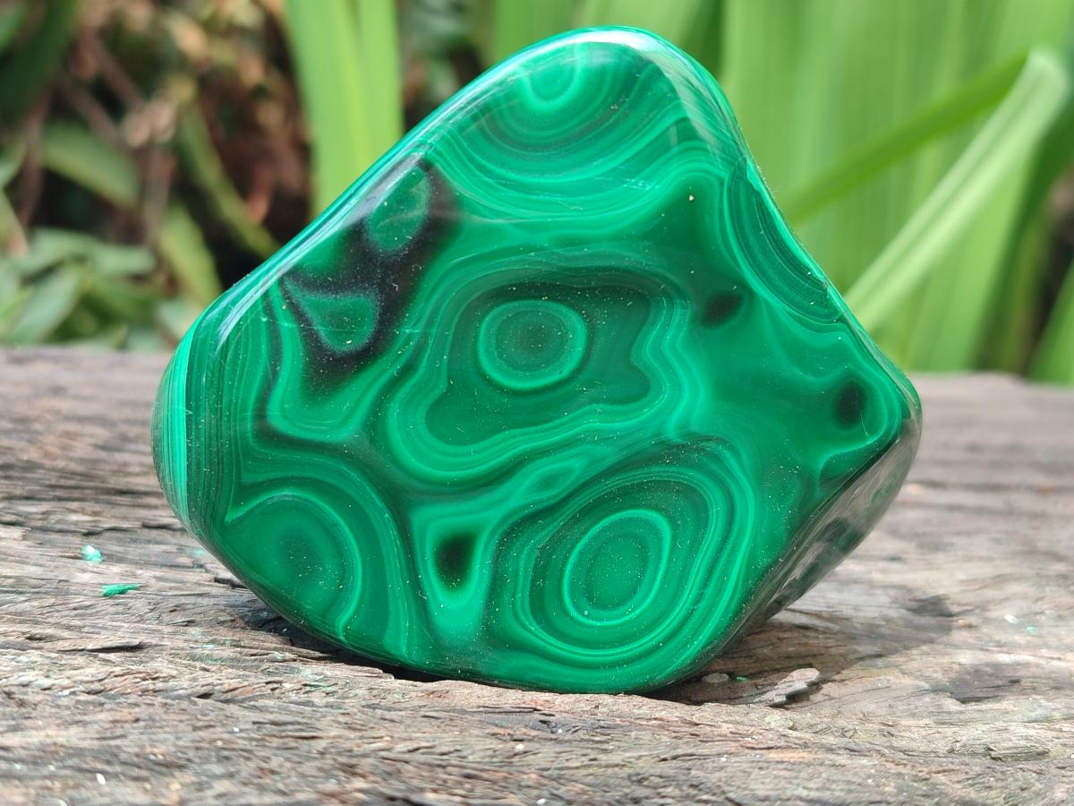 Polished Flower Banded Malachite Free Form x 6 From Congo