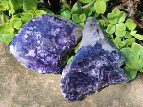 Polished One Side Lithium Silver Leaf Lepidolite Slices x 12 From Zimbabwe
