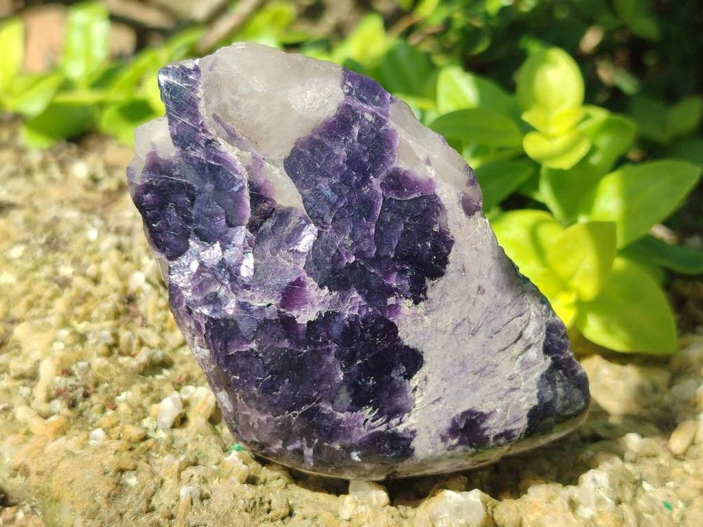 Polished One Side Lithium Silver Leaf Lepidolite Slices x 12 From Zimbabwe