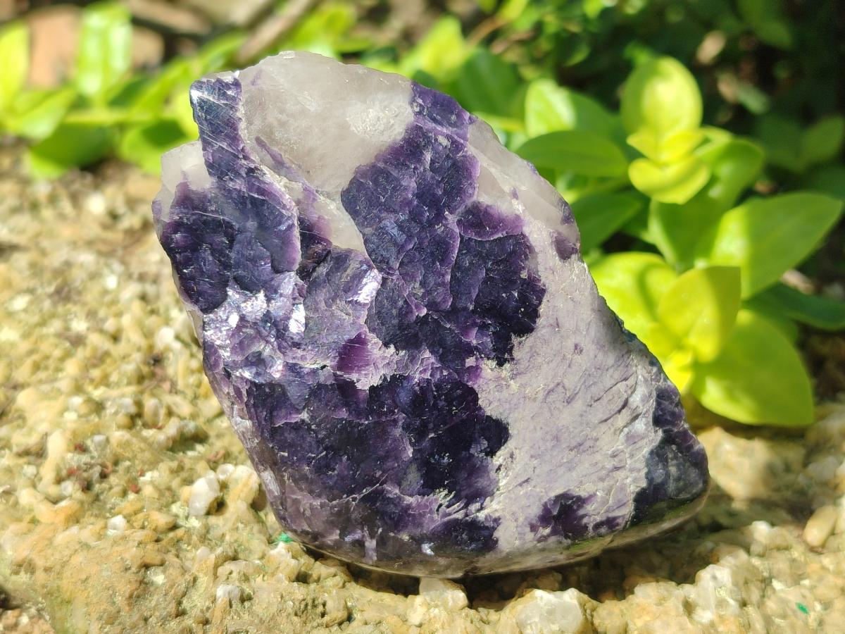 Polished One Side Lithium Silver Leaf Lepidolite Slices x 12 From Zimbabwe