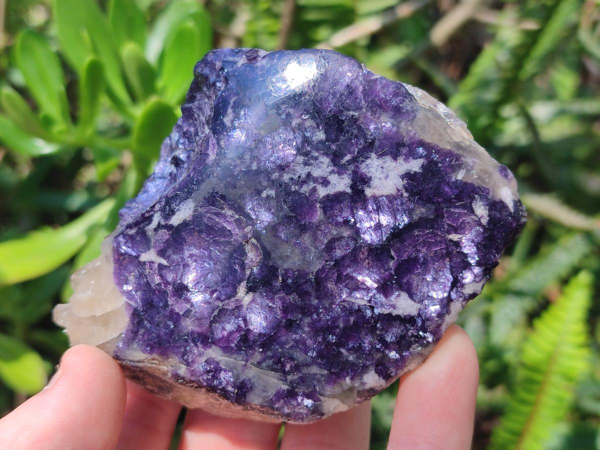 Polished One Side Lithium Silver Leaf Lepidolite Slices x 12 From Zimbabwe