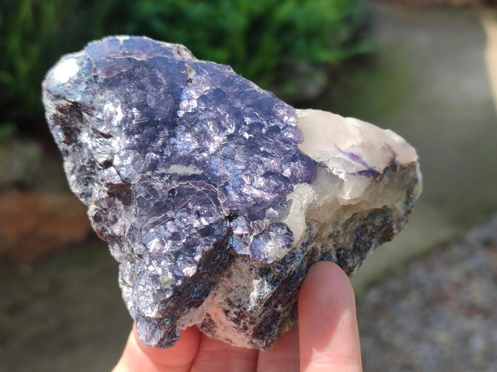 Polished One Side Lithium Silver Leaf Lepidolite Slices x 12 From Zimbabwe