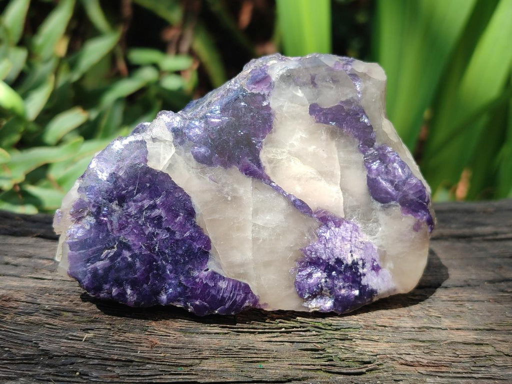 Polished One Side Lithium Silver Leaf Lepidolite Slices x 12 From Zimbabwe