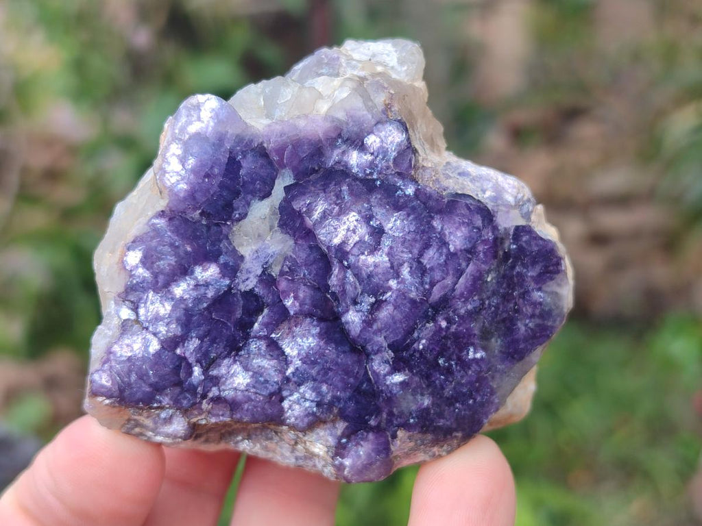 Polished One Side Lithium Silver Leaf Lepidolite Slices x 12 From Zimbabwe