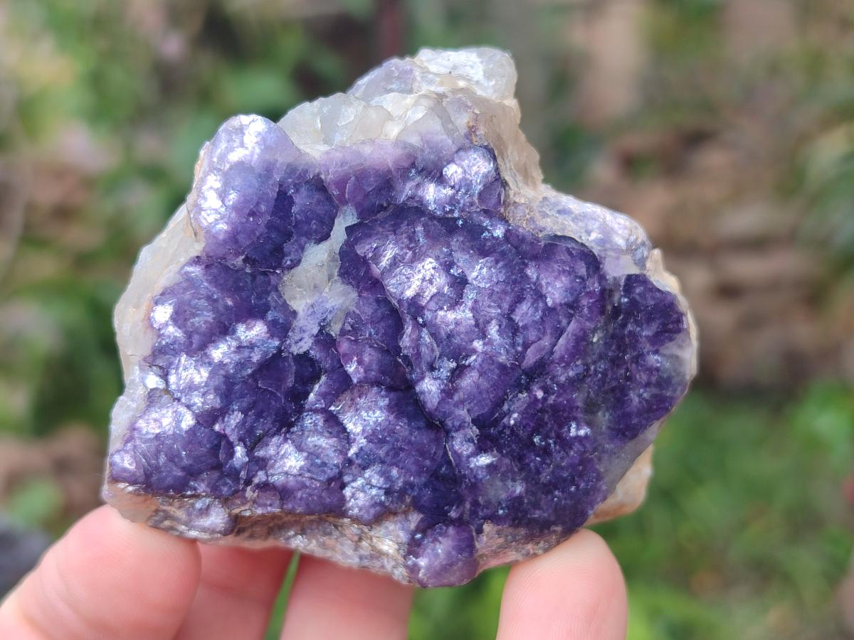 Polished One Side Lithium Silver Leaf Lepidolite Slices x 12 From Zimbabwe