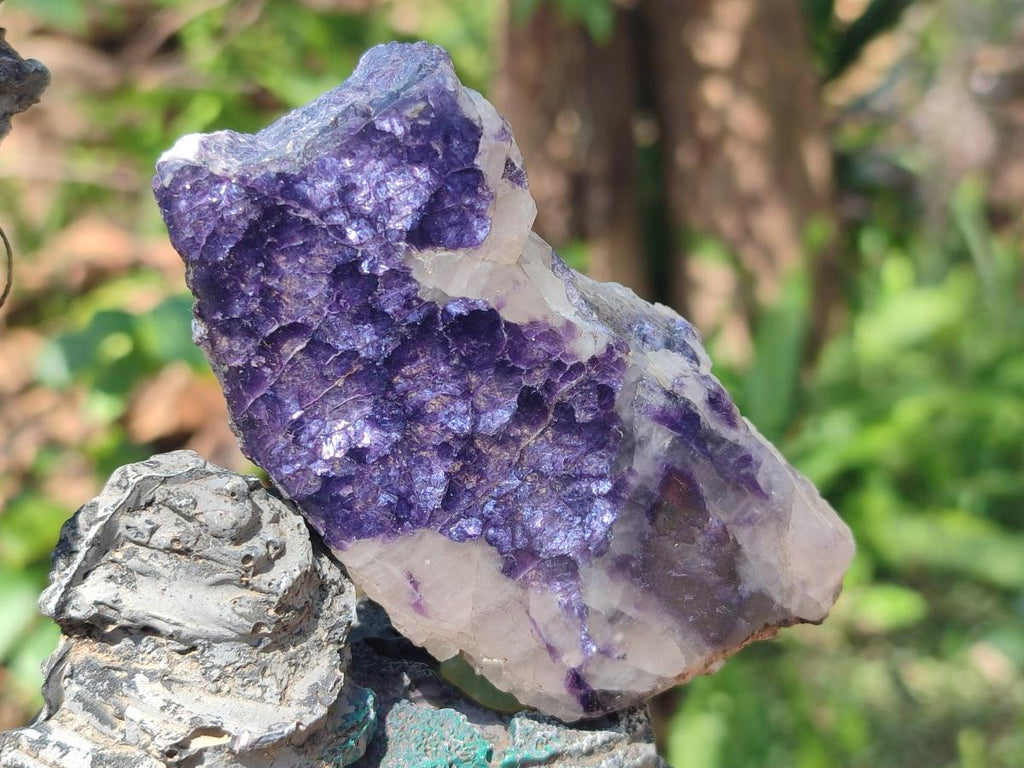 Polished One Side Lithium Silver Leaf Lepidolite Slices x 12 From Zimbabwe