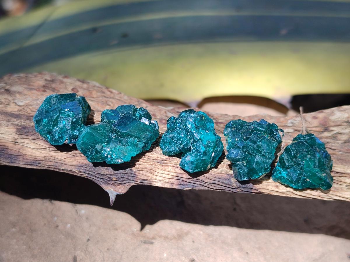 Natural Mini Dioptase Specimens on Dolomite Matrix x 70 From Tantara Mine, Congo