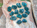 Natural Mini Dioptase Specimens on Dolomite Matrix x 70 From Tantara Mine, Congo