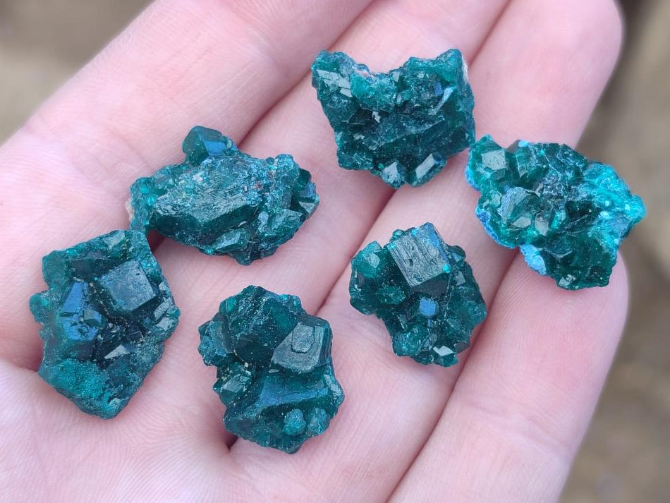 Natural Mini Dioptase Specimens on Dolomite Matrix x 70 From Tantara Mine, Congo