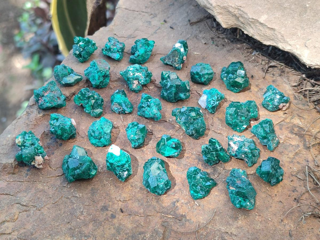 Natural Mini Dioptase Specimens on Dolomite Matrix x 70 From Tantara Mine, Congo