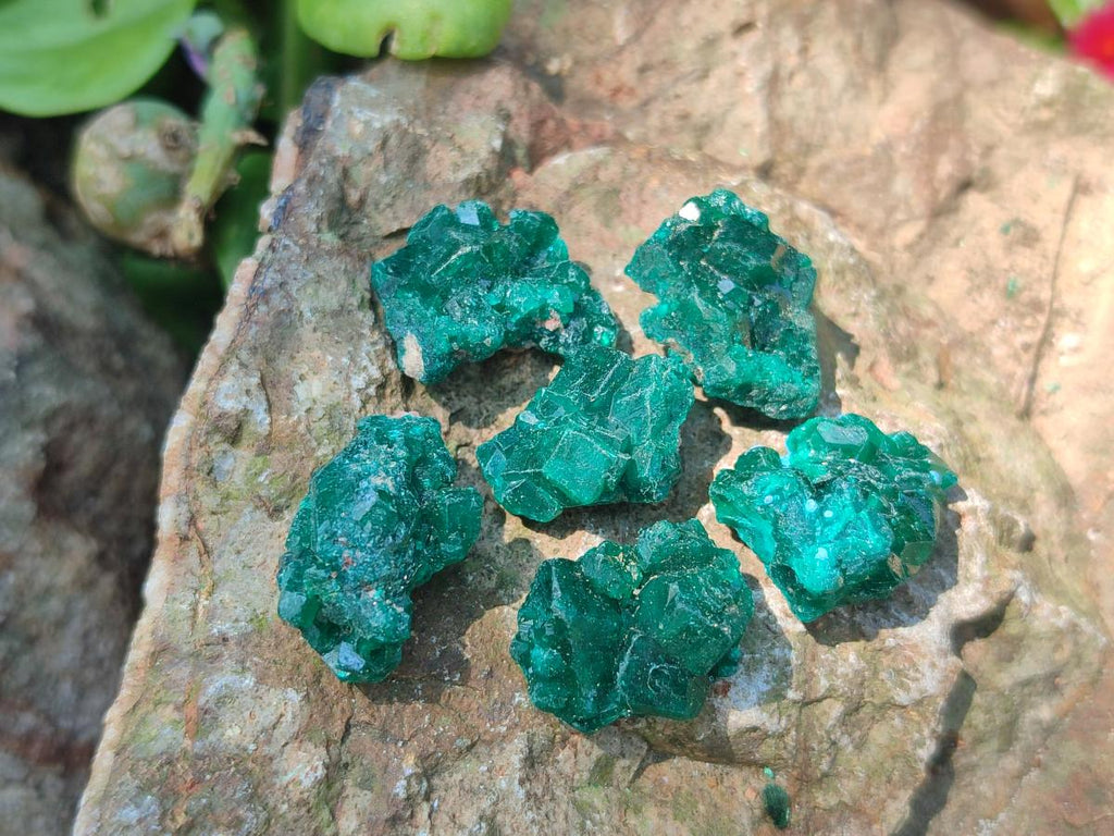 Natural Mini Dioptase Specimens on Dolomite Matrix x 70 From Tantara Mine, Congo
