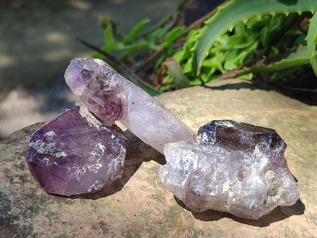 Natural Smokey Window Amethyst Crystals x 24 From Chiredzi, Zimbabwe