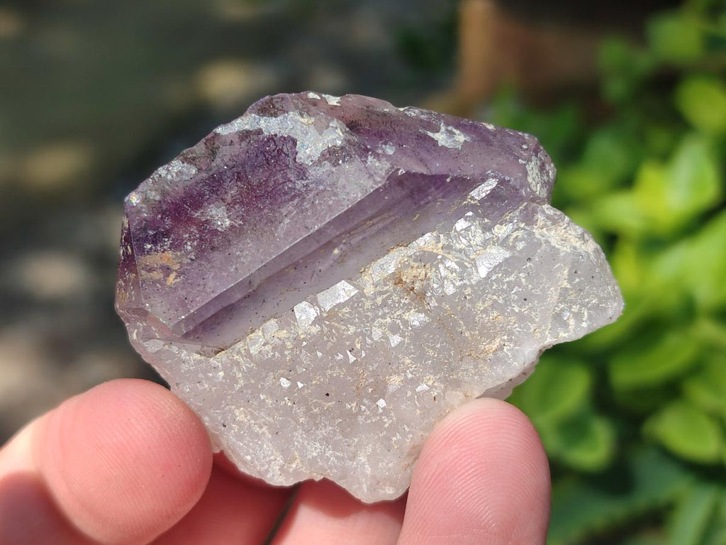 Natural Smokey Window Amethyst Crystals x 24 From Chiredzi, Zimbabwe