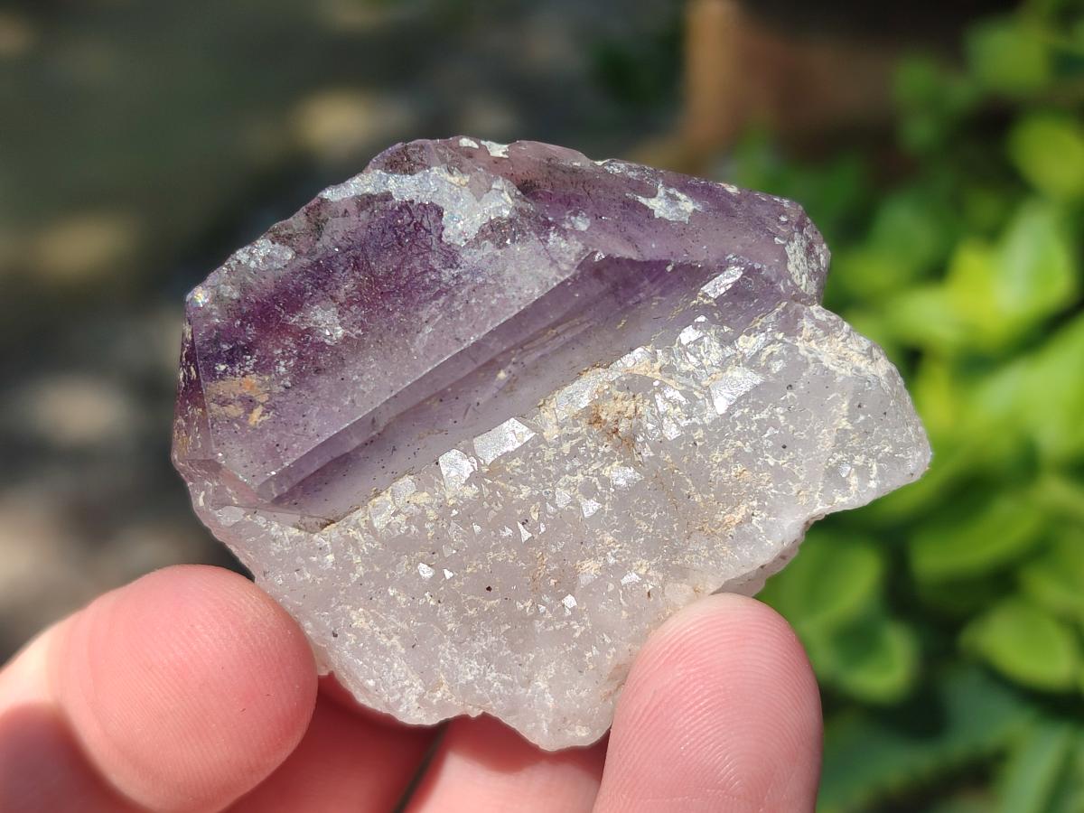 Natural Smokey Window Amethyst Crystals x 24 From Chiredzi, Zimbabwe