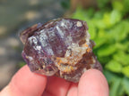 Natural Smokey Window Amethyst Crystals x 24 From Chiredzi, Zimbabwe