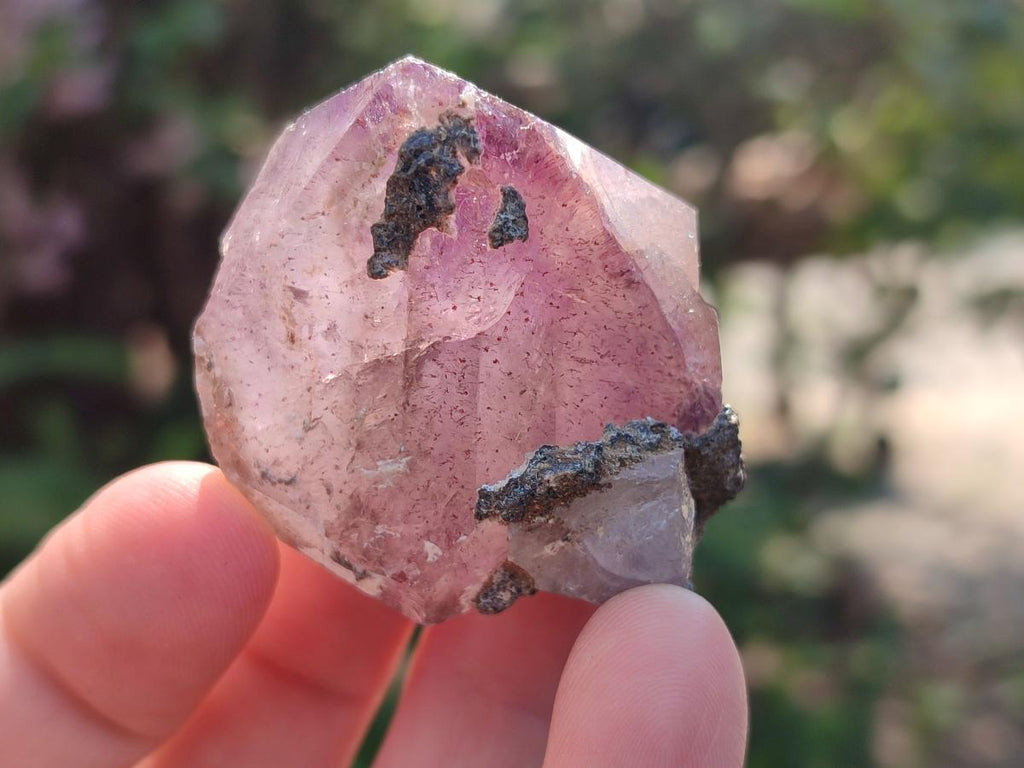 Natural Smokey Window Amethyst Crystals x 24 From Chiredzi, Zimbabwe