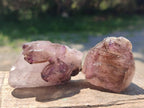 Natural Smokey Window Amethyst Crystals x 24 From Chiredzi, Zimbabwe