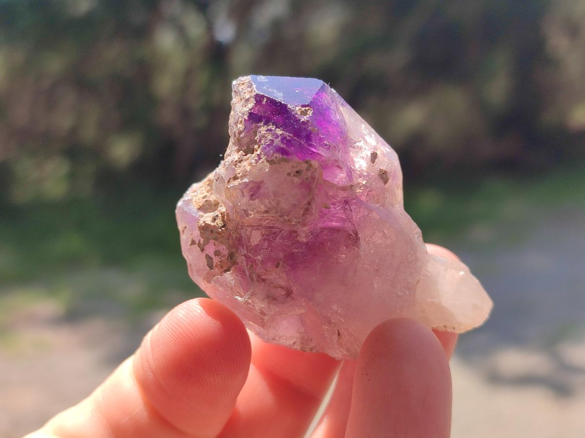 Natural Smokey Window Amethyst Crystals x 24 From Chiredzi, Zimbabwe
