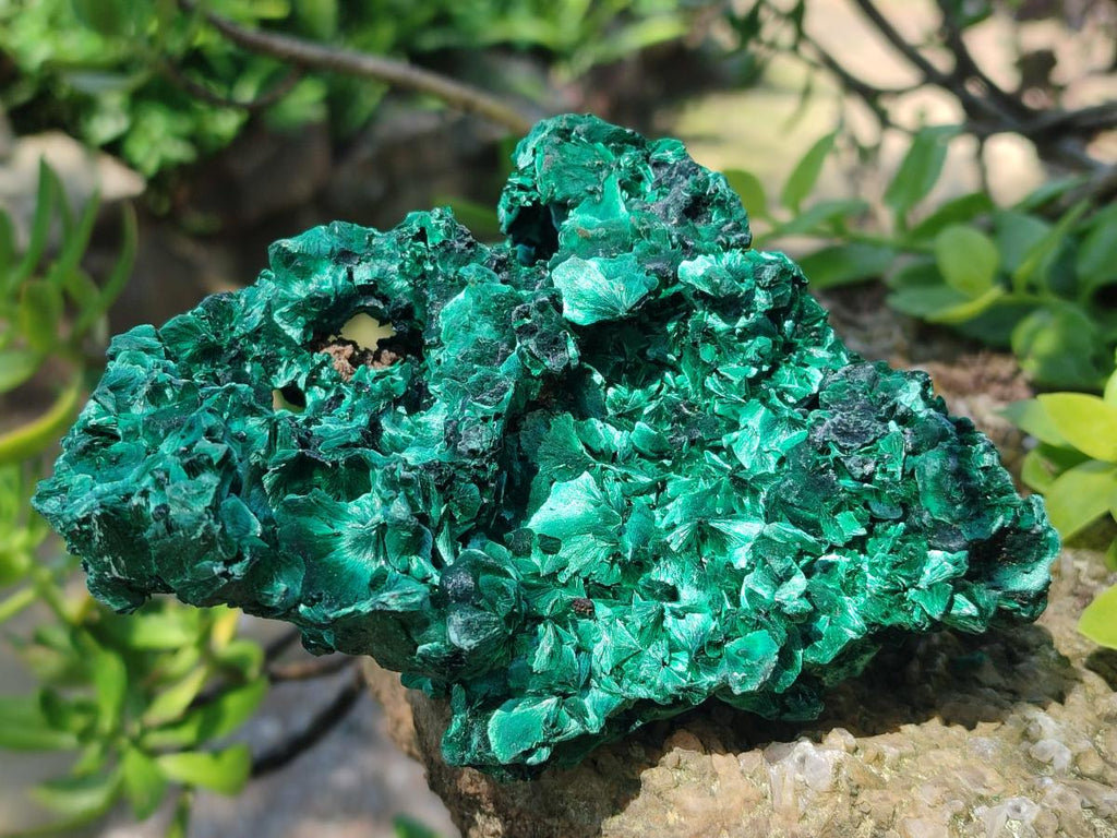Natural Silky Malachite Specimens x 2 From Kasompe, Congo