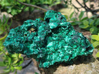 Natural Silky Malachite Specimens x 2 From Kasompe, Congo