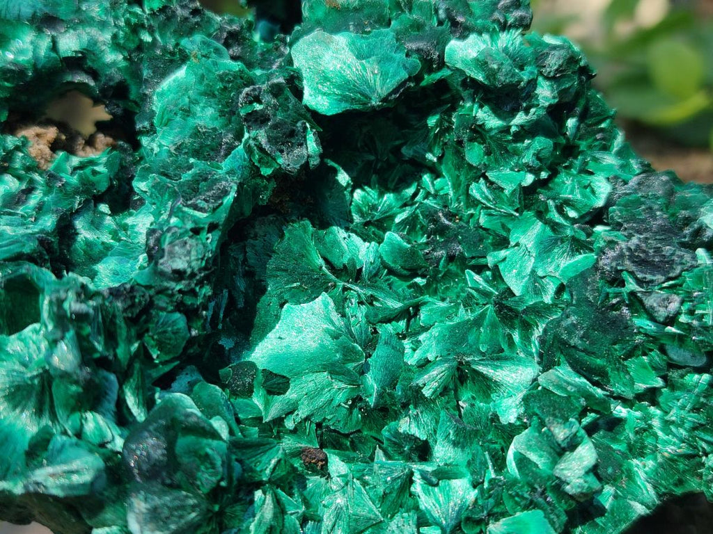 Natural Silky Malachite Specimens x 2 From Kasompe, Congo