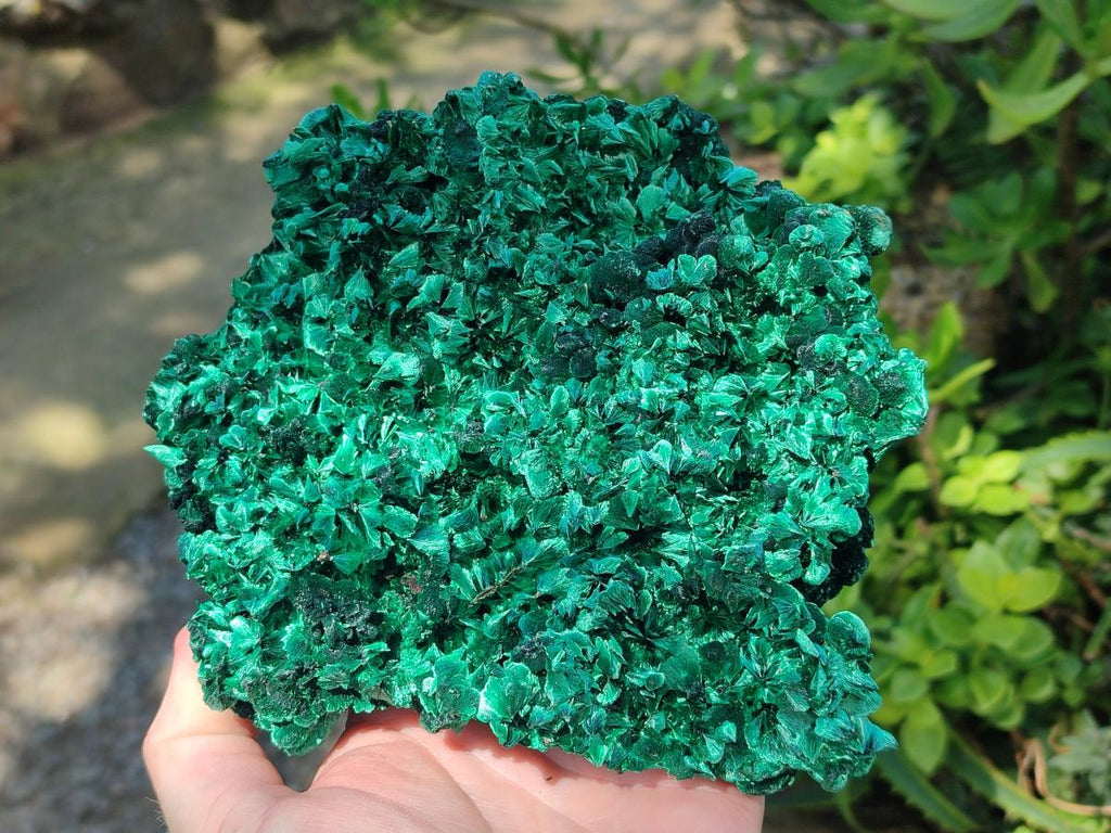 Natural Silky Malachite Specimens x 2 From Kasompe, Congo