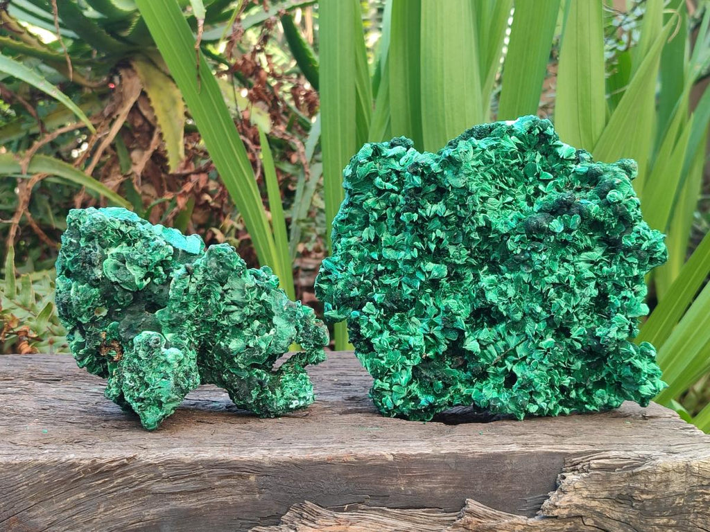 Natural Silky Malachite Specimens x 2 From Kasompe, Congo