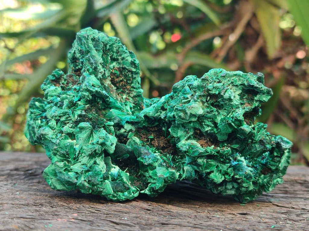 Natural Silky Malachite Specimens x 2 From Kasompe, Congo