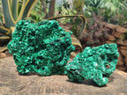 Natural Silky Malachite Specimens x 2 From Kasompe, Congo