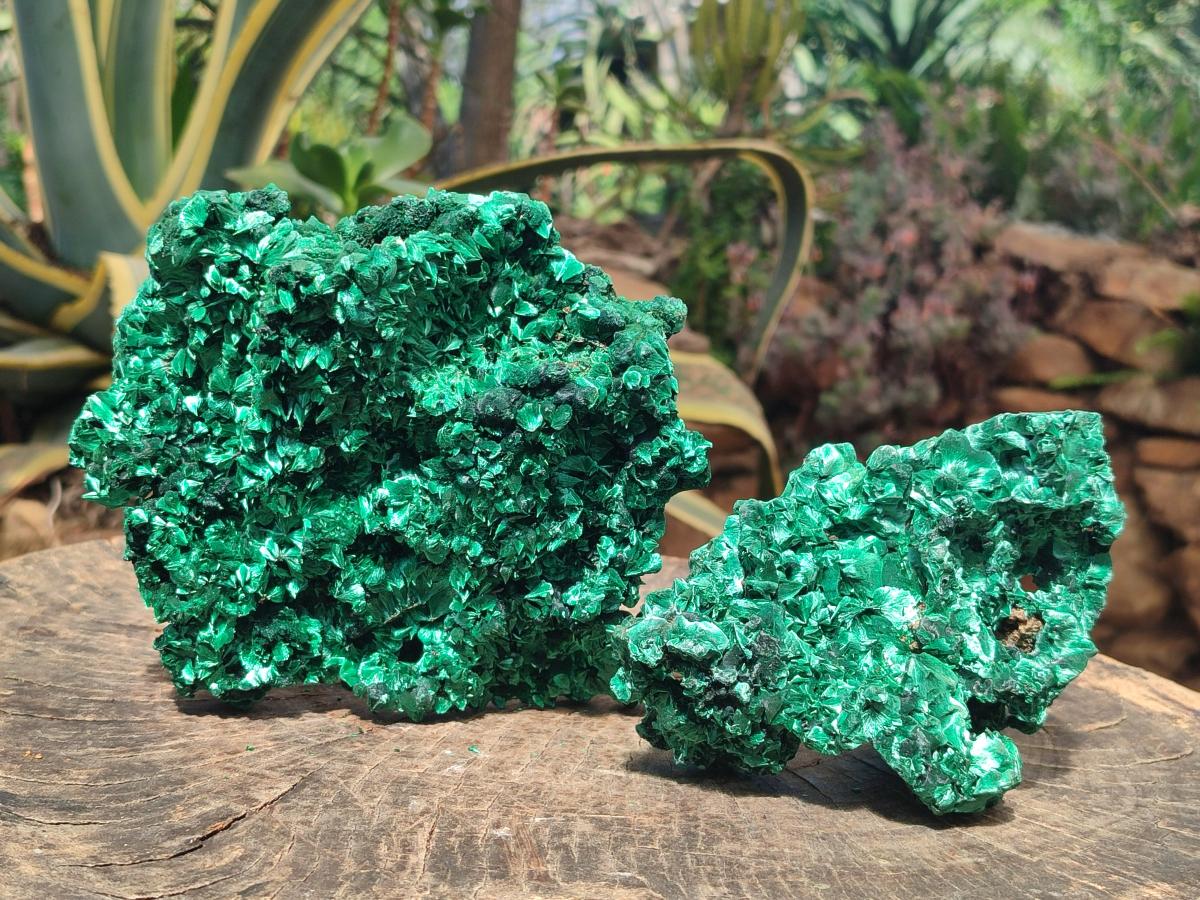 Natural Silky Malachite Specimens x 2 From Kasompe, Congo