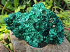 Natural Silky Malachite Specimens x 2 From Kasompe, Congo
