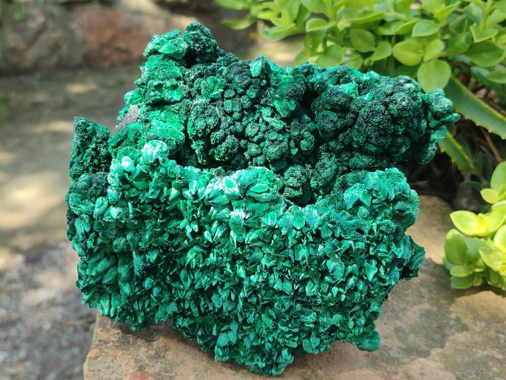 Natural Silky Malachite Specimens x 2 From Kasompe, Congo