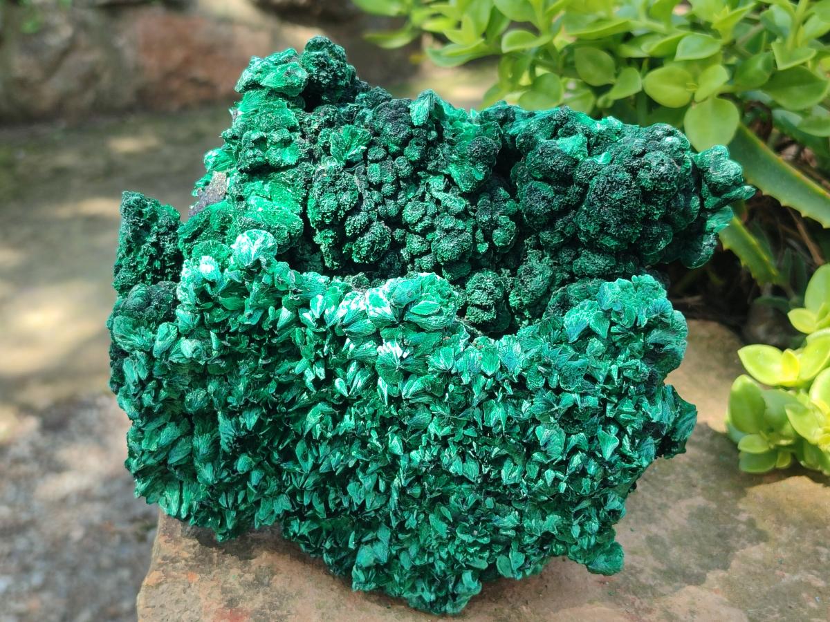 Natural Silky Malachite Specimens x 2 From Kasompe, Congo