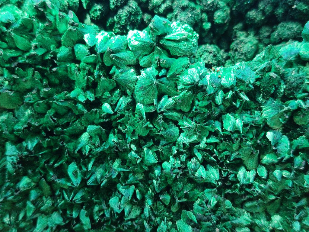 Natural Silky Malachite Specimens x 2 From Kasompe, Congo