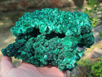 Natural Silky Malachite Specimens x 2 From Kasompe, Congo
