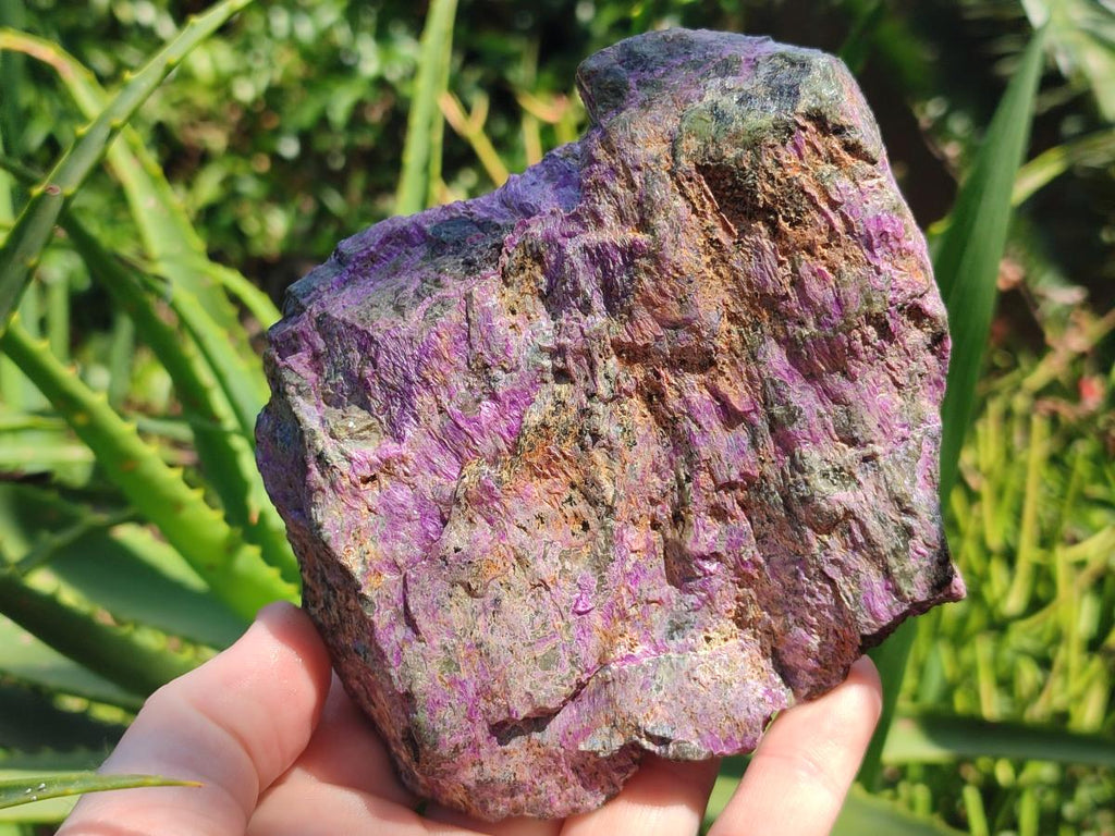 Natural Cobbed Stichtite Specimens x 6 From Barberton, South Africa