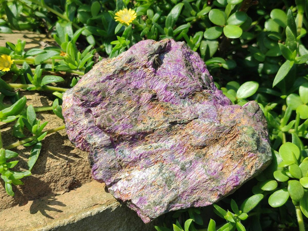 Natural Cobbed Stichtite Specimens x 6 From Barberton, South Africa