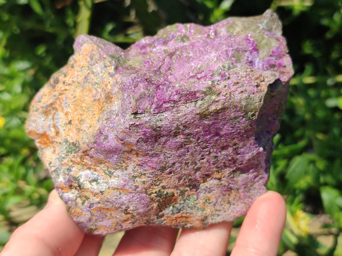 Natural Cobbed Stichtite Specimens x 6 From Barberton, South Africa