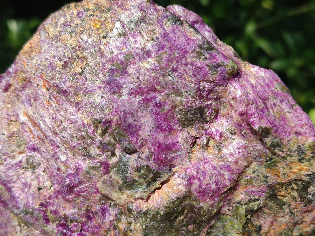 Natural Cobbed Stichtite Specimens x 6 From Barberton, South Africa