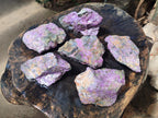 Natural Cobbed Stichtite Specimens x 6 From Barberton, South Africa
