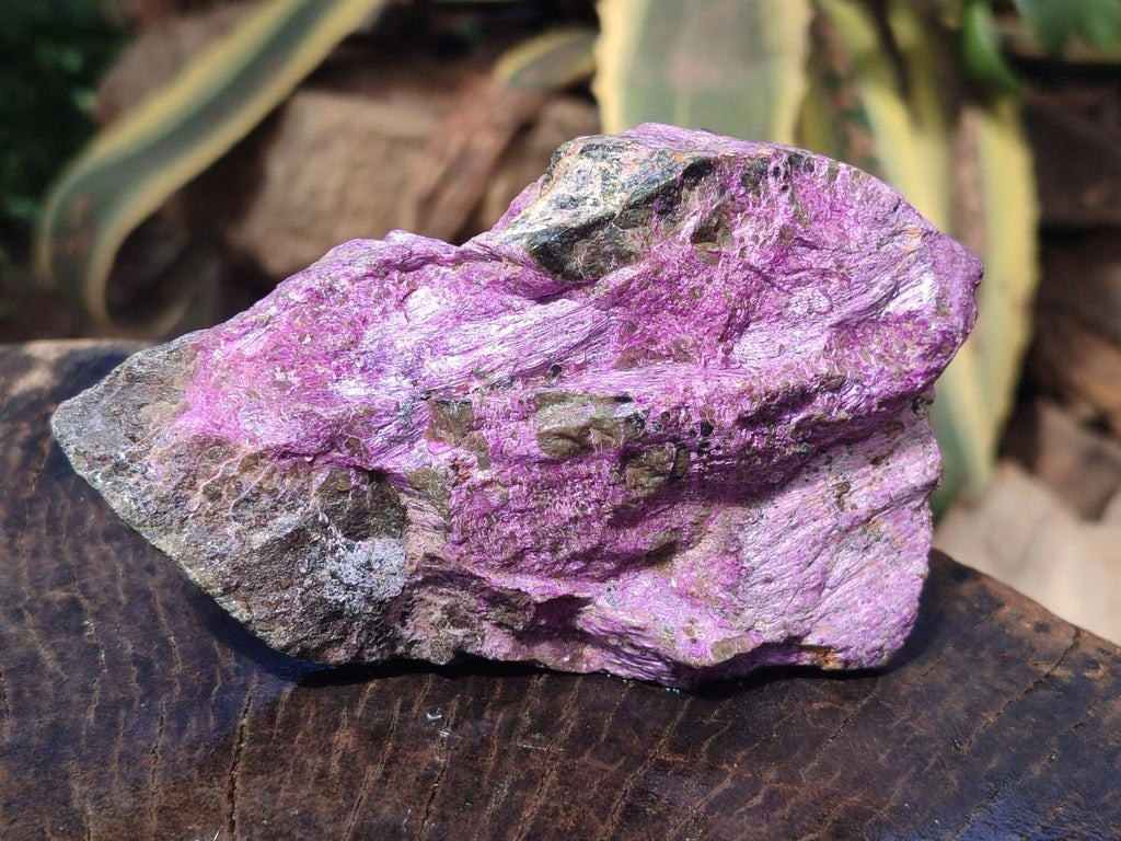 Natural Cobbed Stichtite Specimens x 6 From Barberton, South Africa