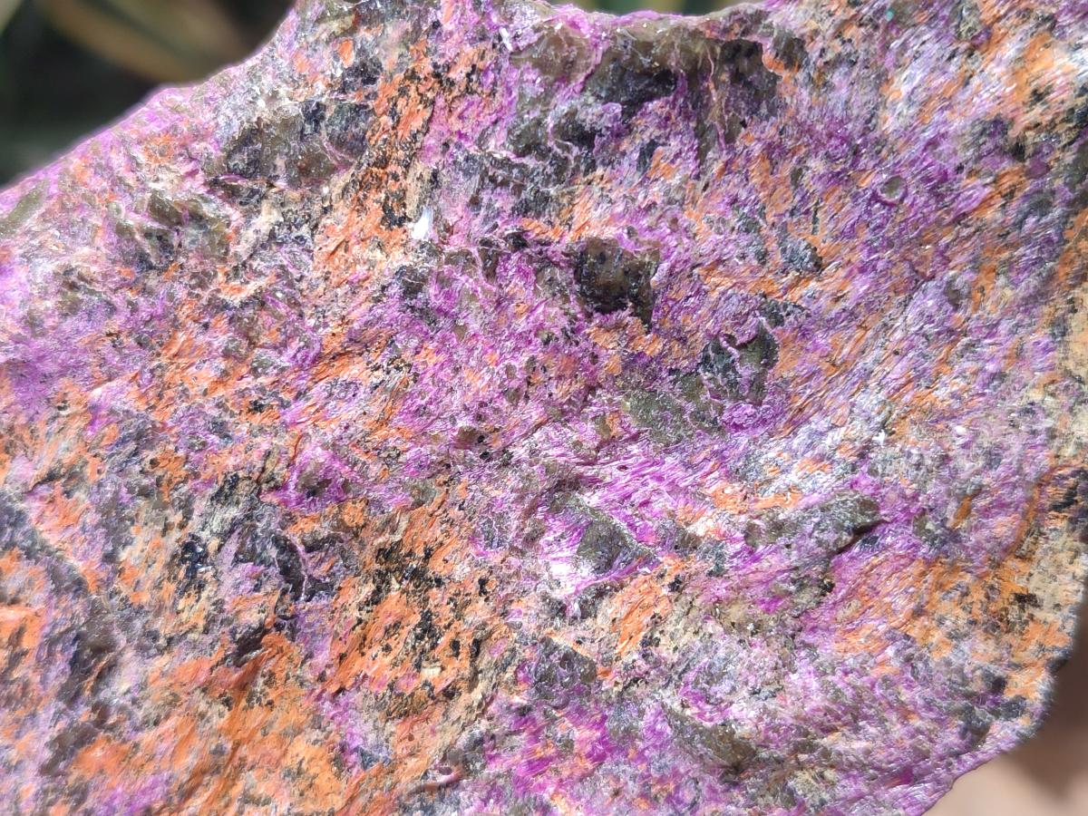 Natural Cobbed Stichtite Specimens x 6 From Barberton, South Africa
